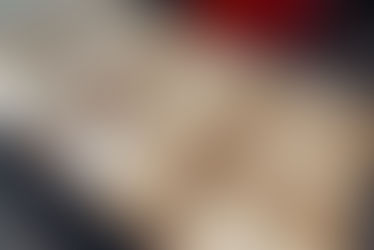 Ehrung der NRHA Highpoint Champions 2024 anlässlich der Christmas Party