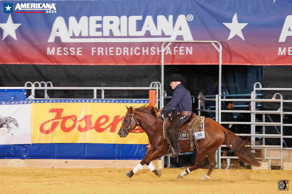 Markus Schopfer Oh Cay Eastercat