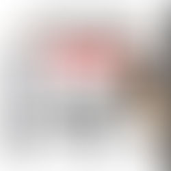 Mops schaut frecht von rechts auf die Natursteintisch-Aktion