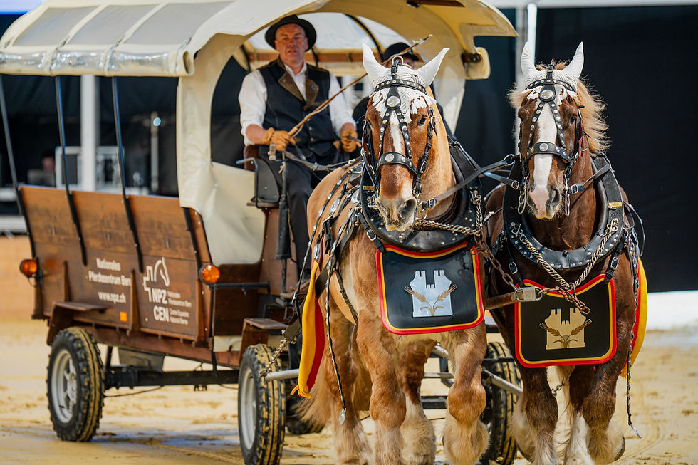 Foto: BEA Messefotografie