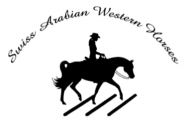 Logo SAWH
