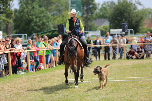 eoa_2014_western_4-kleiin
