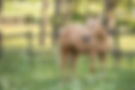 AdobeStock_1189154042.jpeg
