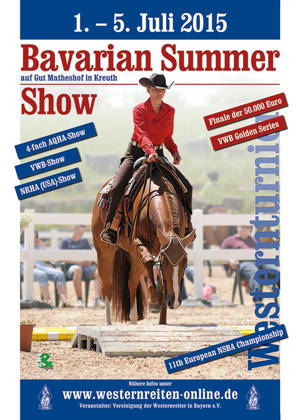 2015 BSS Plakat