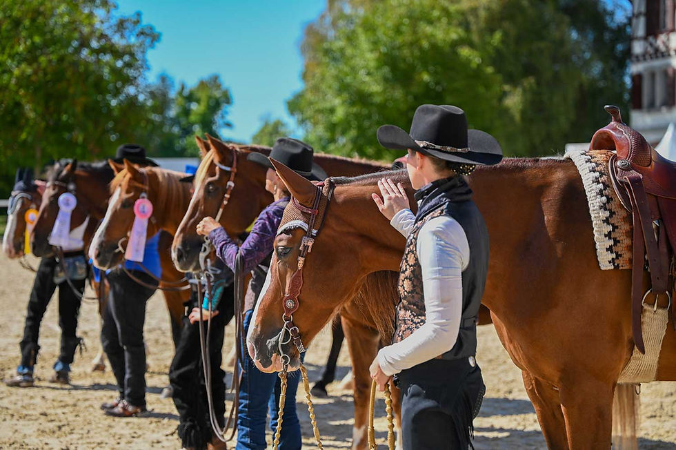 Reiterinnen in Cowboyhüten stehen mit gesattelten Pferden in einer Reihe; Turnierribbons hängen an den Trensen.