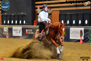 Grosser Auftritt an der Equità Lyon: Interview mit Nicola Schölly