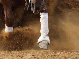 NRHA Germany Breeders Derby