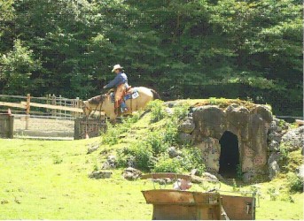 Ranch Horse Festival Biel