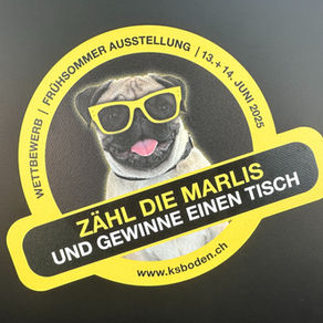 Frühsommer-Ausstellung 2025 – Ein voller Erfolg bei hochsommerlichen Temperaturen