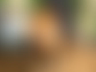 $ 100.000-added Austrian Reining Futurity