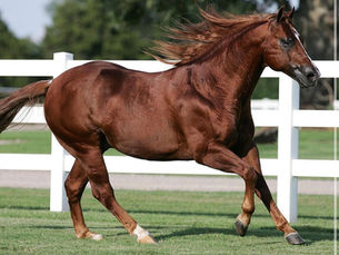 Reinign: Trauer um Smart Like Juice