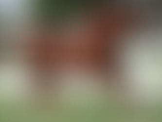 Reinign: Trauer um Smart Like Juice