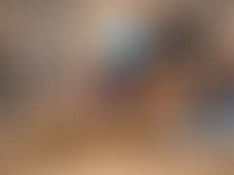 Austrian Reining Futurity & NRHA Show 2026 vom 18. bis 22. August in Wiener Neustadt