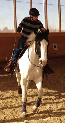 Para_Reining_Fechen-2