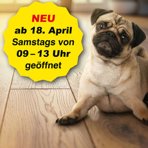 Mops Marli iegt auf Parkettboden Daneben die neuen Öffnungszeiten in einem gelben Kreis