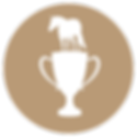 SQHA-Icons-Turnier-guide.png
