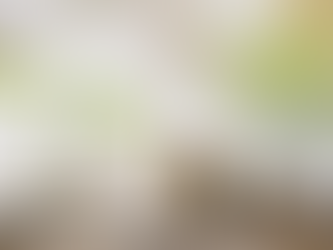 Por que a Gestão de Resíduos é Vital para Sua Empresa e para o Meio Ambiente