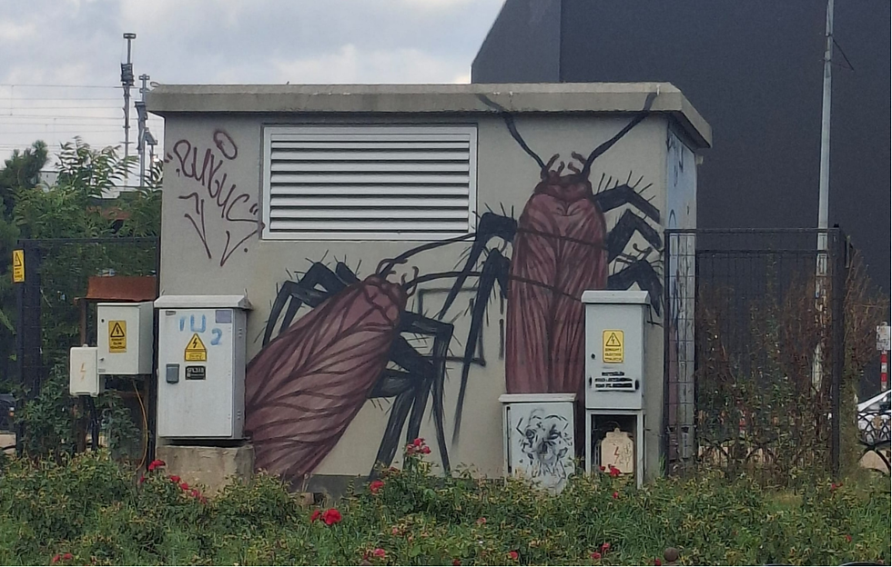 Devrimci Bir Sanat: Grotesk Akım ve Hamamböcekleri