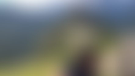 Una experiencia que va más allá del turismo