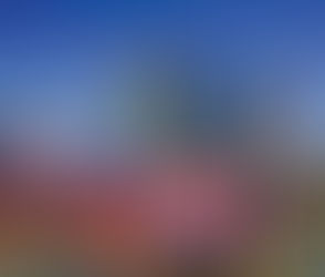 사다리 게임에서 가장 중요한 요인은 무엇인가요