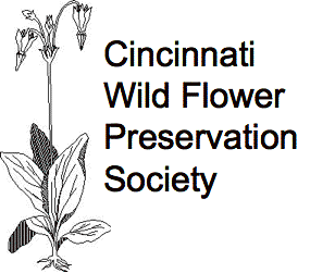 Cincy Wildflower logo.gif
