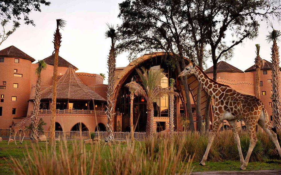 Disney Animal Kingdom Village
