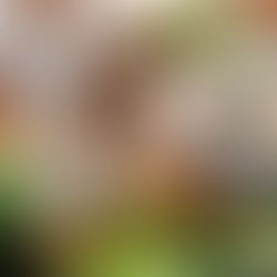 First, #MeToo. Now, #NotYou.