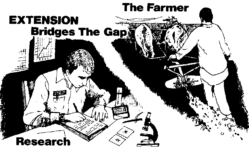 Extension - Farmer linkage