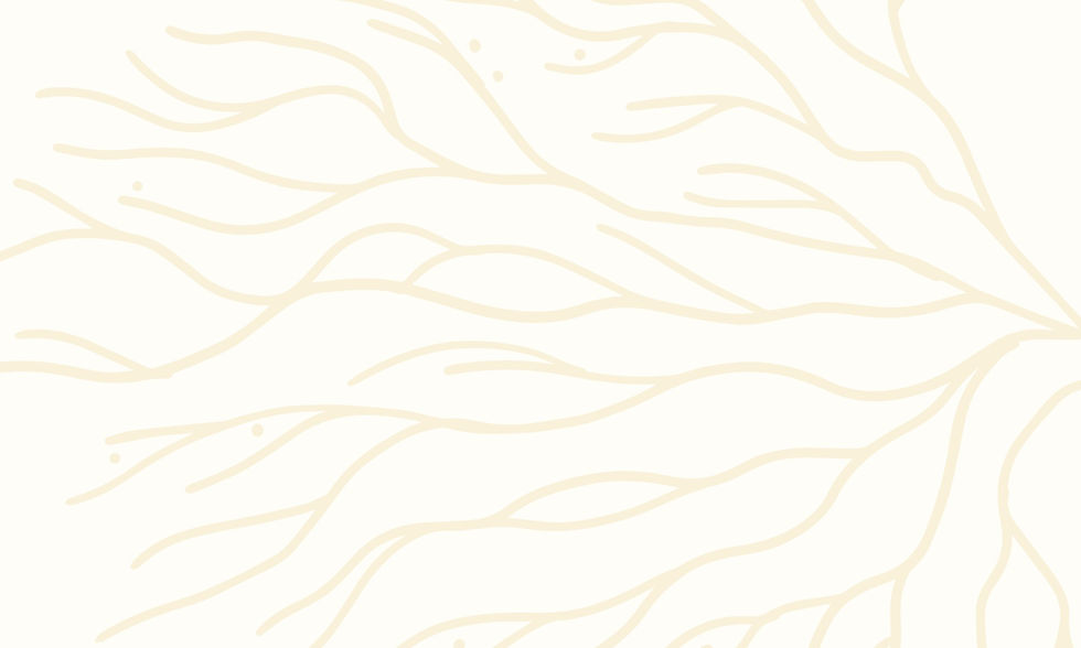 SYD'S TEMPEH CO Background hero_edited.jpg