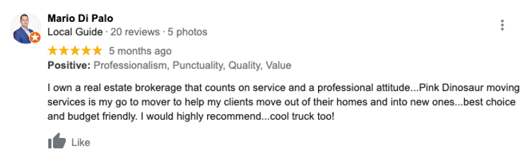 Pink Dinosaur Google Review Happy Customer Moving Company Real Estate Toronto