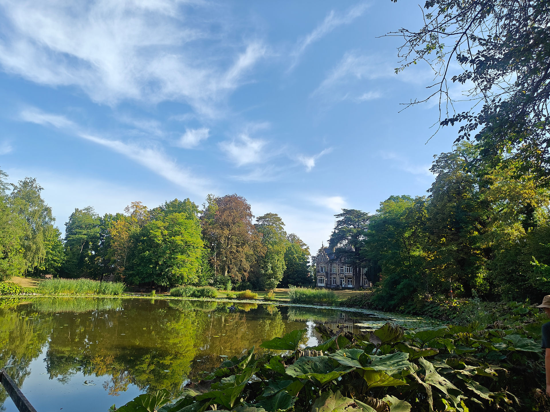 Een rustige vijver met spiegeling van bomen en een statig gebouw op de achtergrond in een groene parkomgeving.