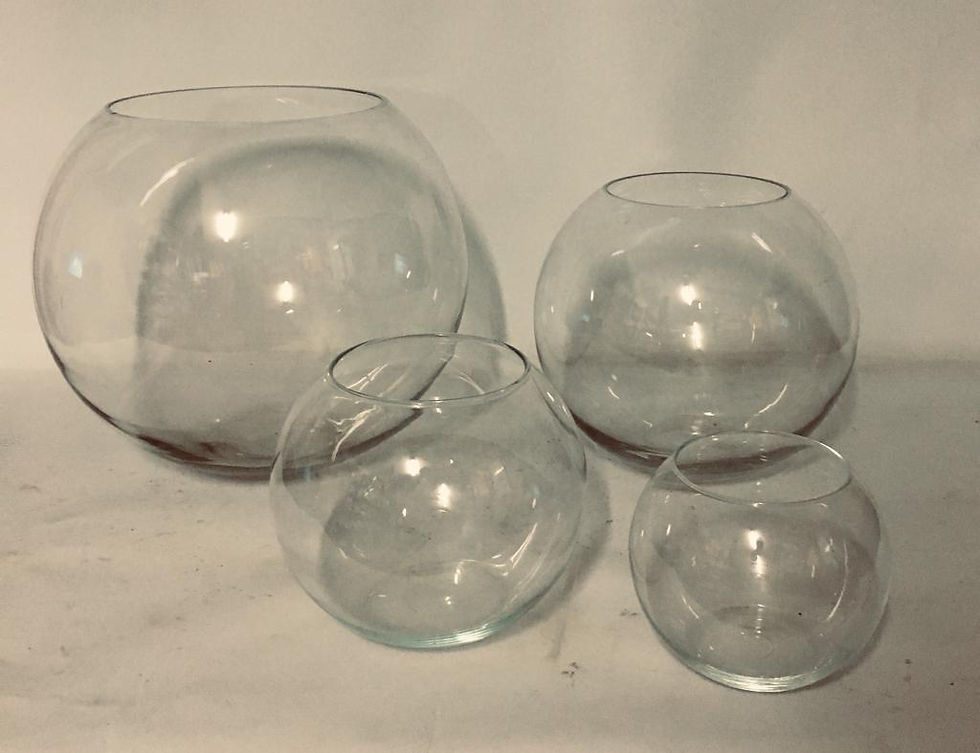 AQUARIO REDONDO TRANSPARENTE GG, G , M E