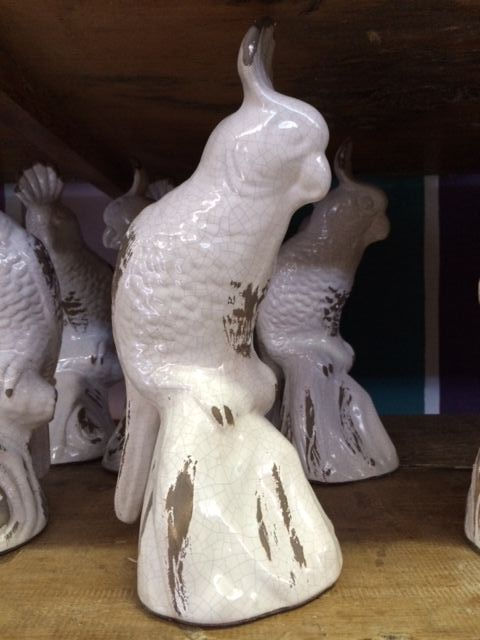 CACATUA BRANCA