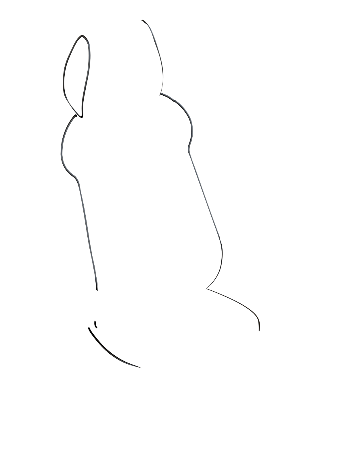 blank-slide.png