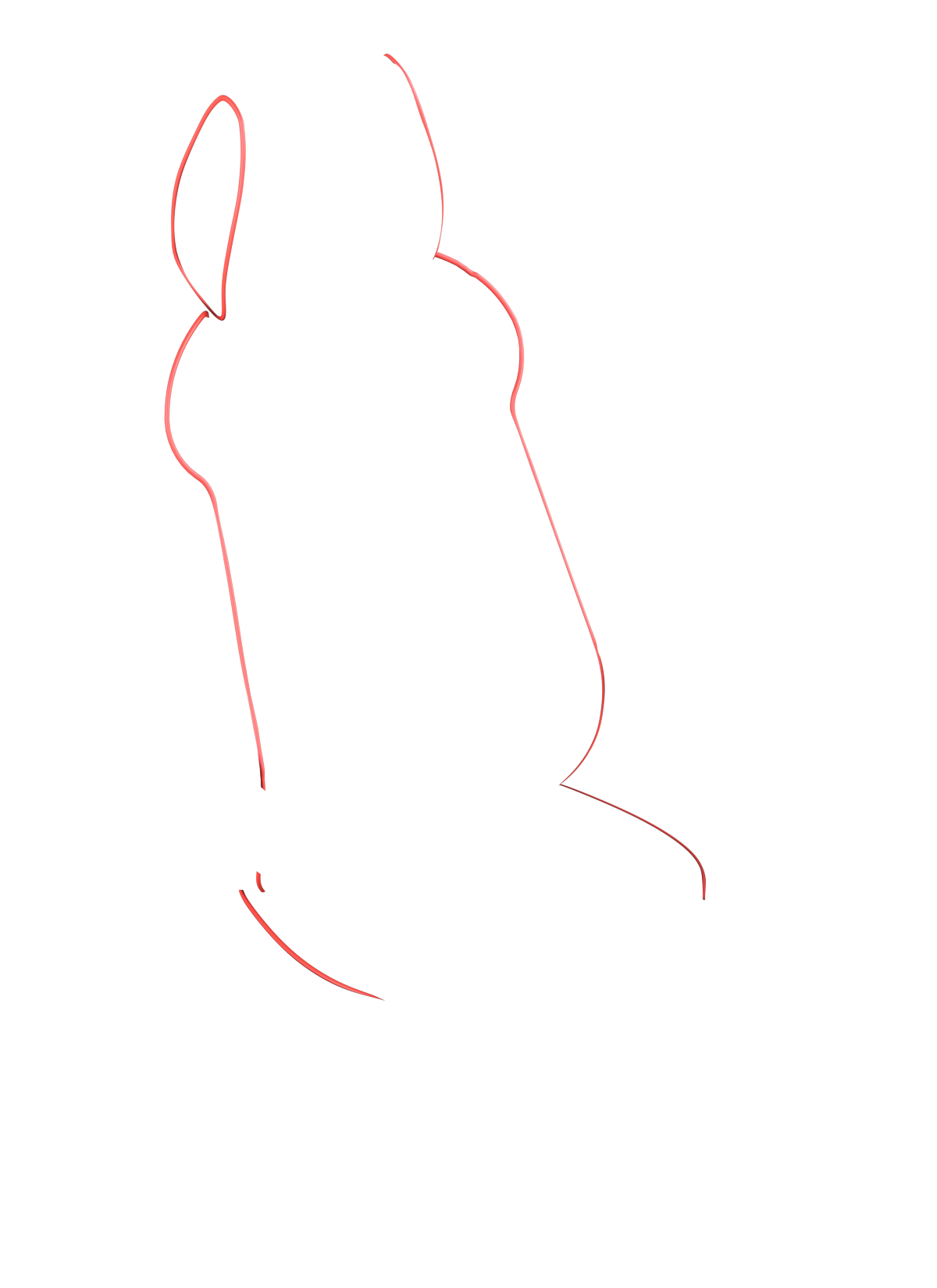 blank-slide.png