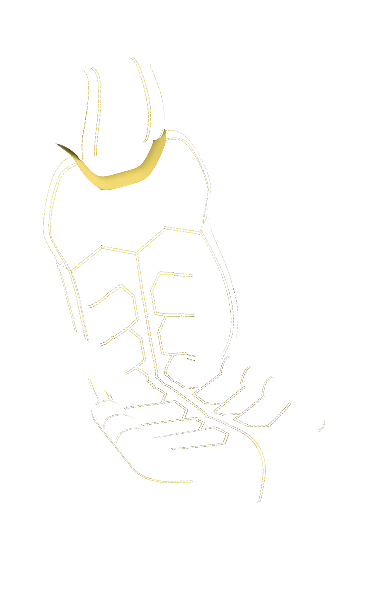 blank-slide.png