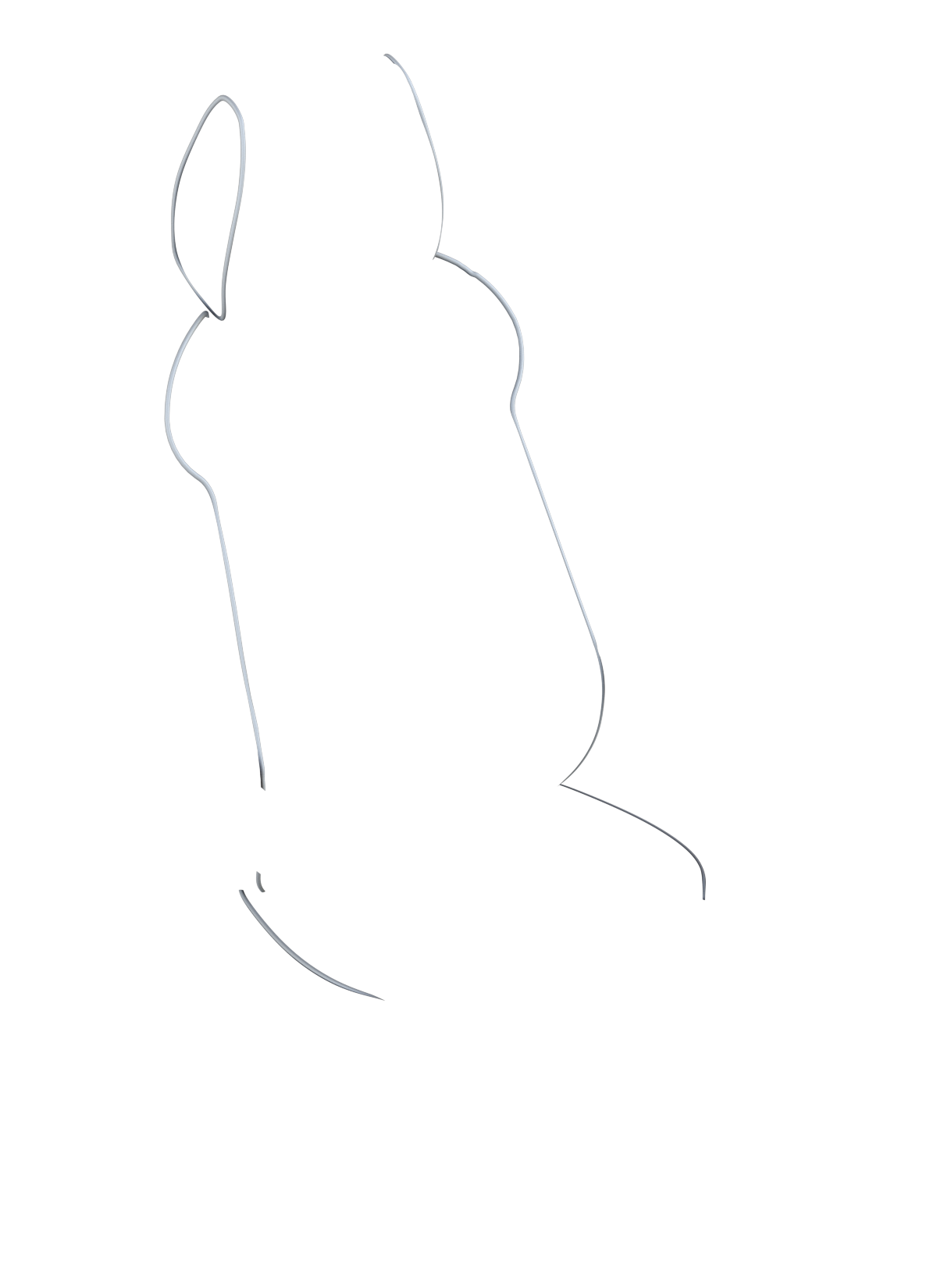 blank-slide.png