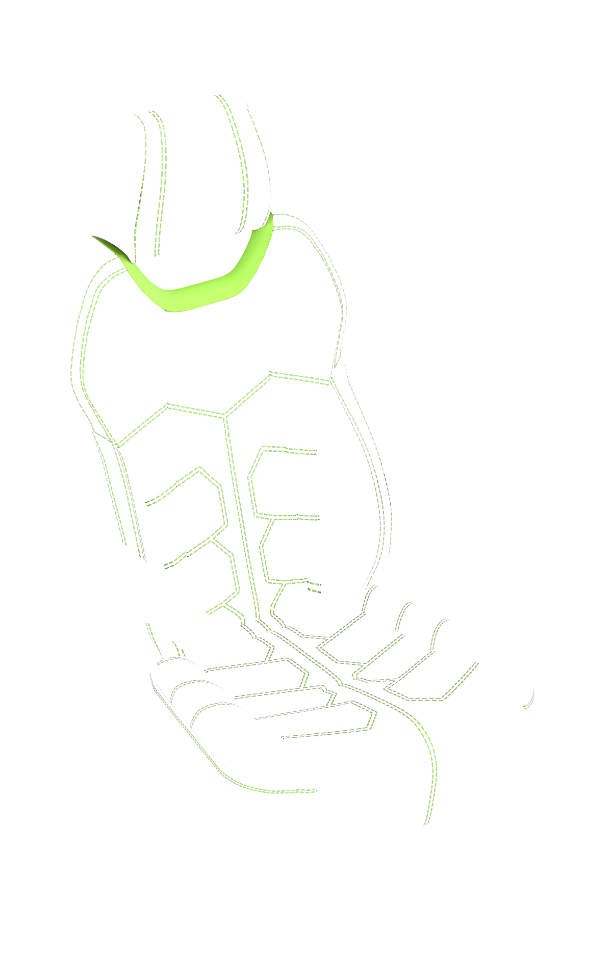 blank-slide.png
