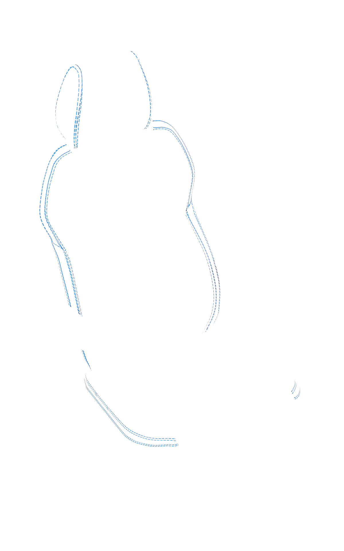 blank-slide.png