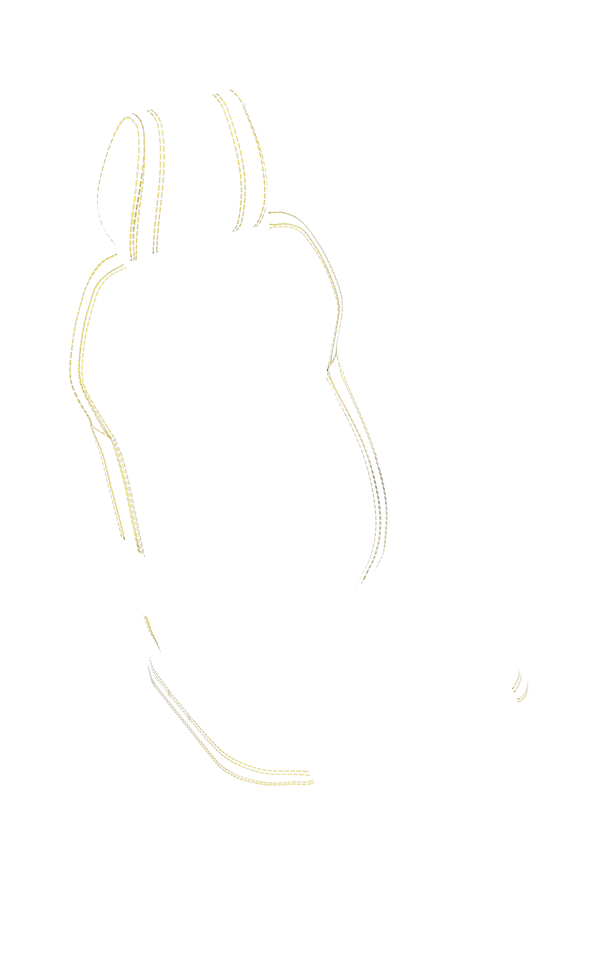 blank-slide.png