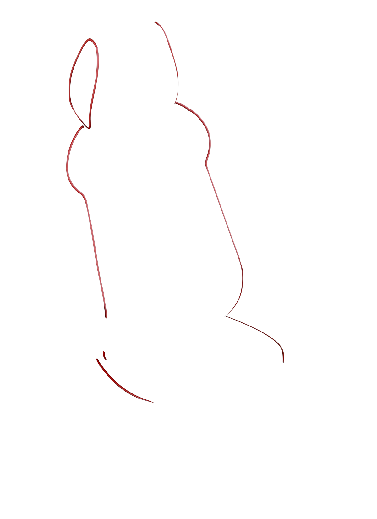 blank-slide.png