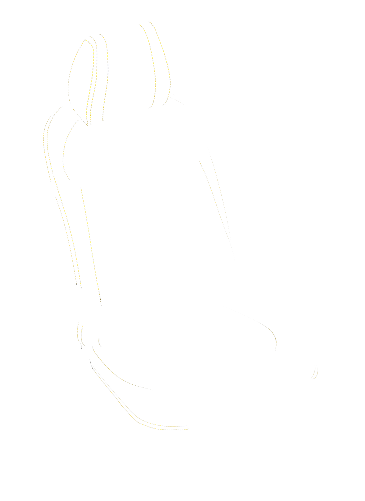 blank-slide.png