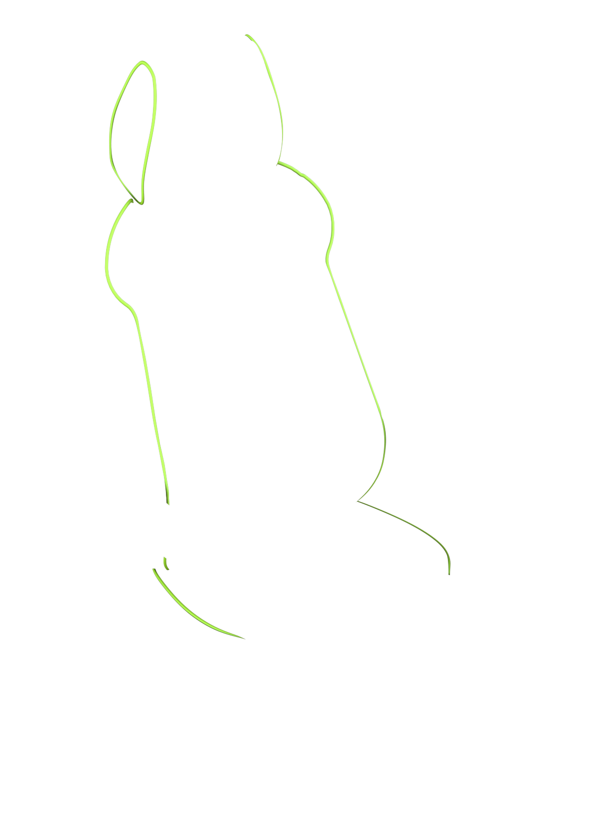 blank-slide.png