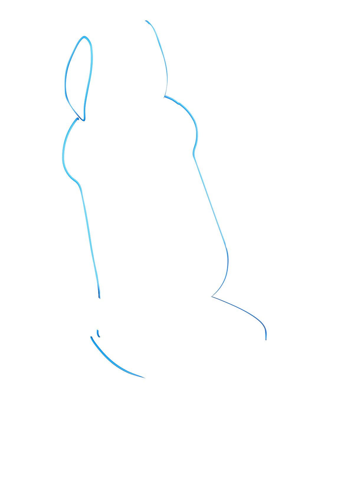 blank-slide.png
