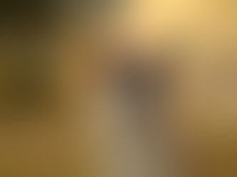 Sony A7C - A Camera Every Dog Parents Should Have