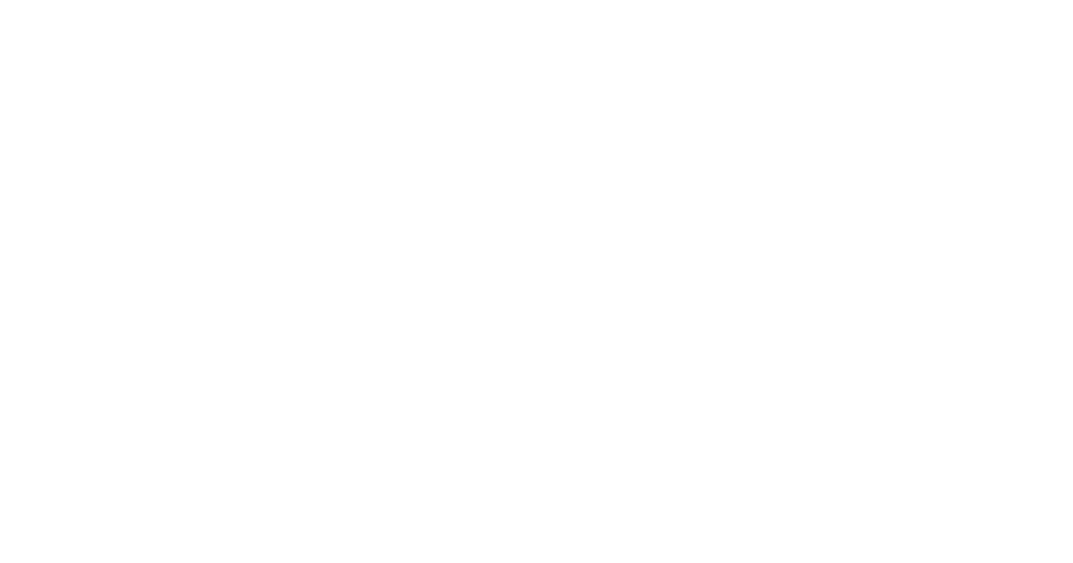 איורים לבן-10.png