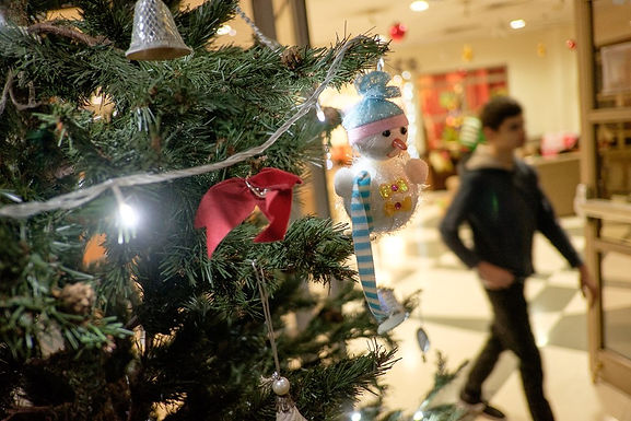MS Winter Wonderland Social