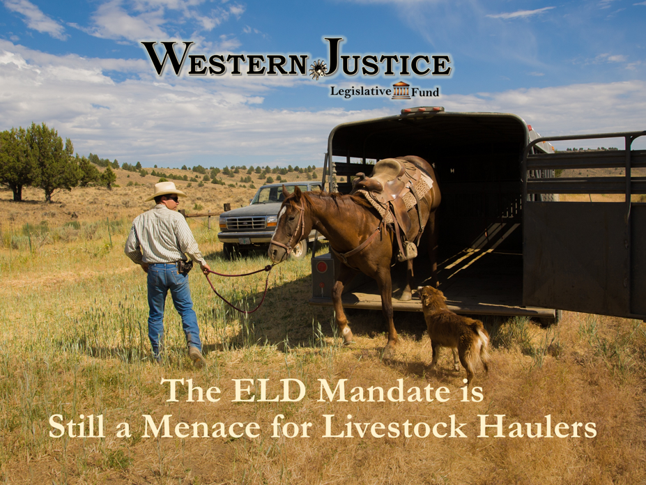 The ELD Mandate Is Still Menacing for Livestock Haulers