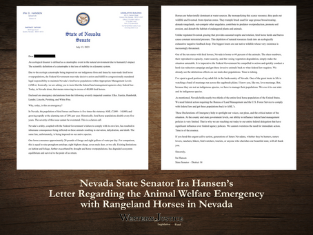 State Senator Weighs In About the Feral Horse Emergency in Nevada