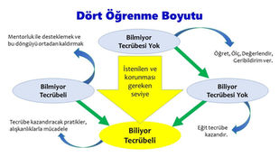 Öğrenmenin Dört Boyutu